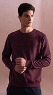 https://dacdn.damensch.com/damensch/swatches/swatch-solidsweatshirt-loyalmaroon.jpg